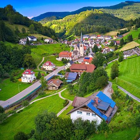 Steepleview House, Schwarzwaldblick Apartment - Spacious & Peaceful Bad Peterstal-Griesbach Luaran gambar