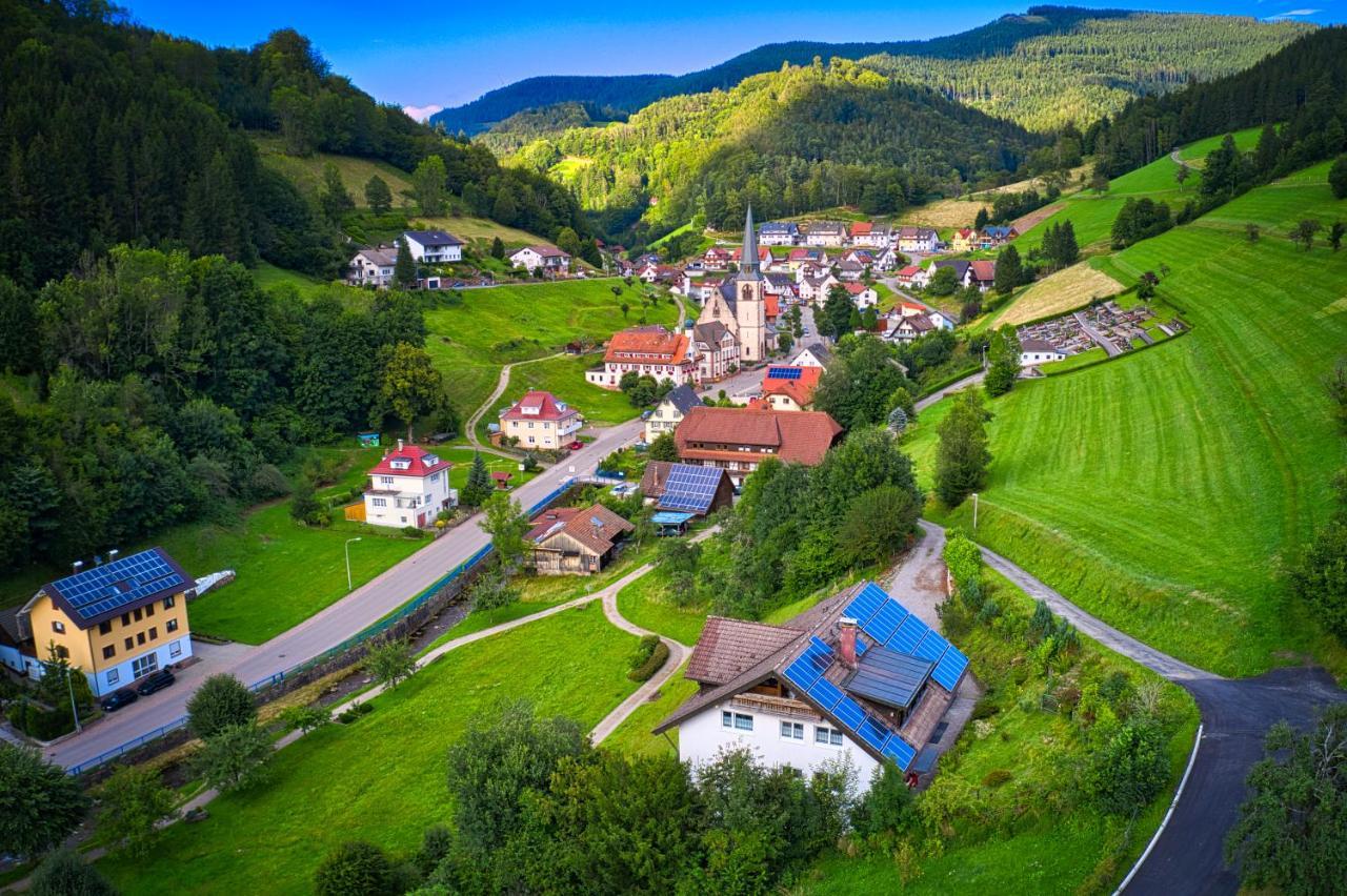 Steepleview House, Schwarzwaldblick Apartment - Spacious & Peaceful Bad Peterstal-Griesbach Luaran gambar