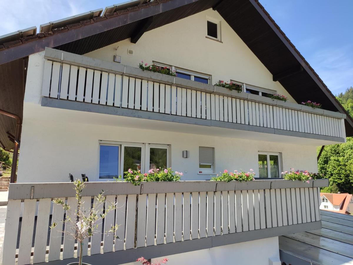 Steepleview House, Schwarzwaldblick Apartment - Spacious & Peaceful Bad Peterstal-Griesbach Luaran gambar